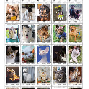 C 3762 Selo Animais Domesticos UPAEP Pets Cachorro Gato Ave 2018 Serie Completa
