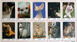 C 3777 Selo Serie America Animais Domesticos 2018 Gato