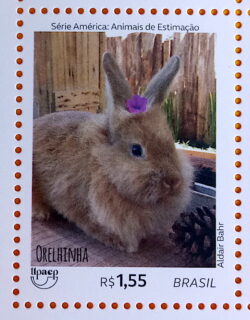 C 3787 Selo Série América Animais Domésticos 2018 Coelho