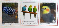 C 3789 Selo Série América Animais Domésticos 2018 Aves