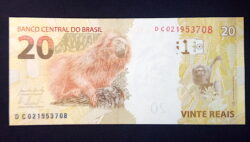 Cédula Flor de Estampa R$ 20,00 Segunda Família DC 021.953.708 Levy e Tombini