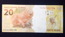 Cédula Flor de Estampa R$ 20,00 Segunda Família DC 021.953.709 Levy e Tombini