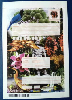 Cod 0039 AEROGRAMA REGIAO SUL GAUCHO ARACAURIA PEIXE