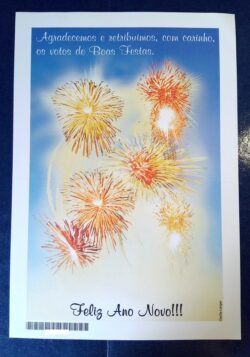 Cod 0049 AEROGRAMA ANO NOVO FOGOS RETRIBUIÇÃO 2004