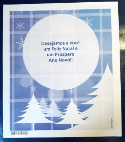 Cod 0156 AEROGRAMA NATAL ANO NOVO 2013 AZUL