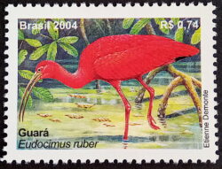 C 2564 Selo Despersonalizado Guara Ave Fauna 2004