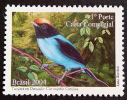C 2596 Selo Despersonalizado Dançador Tangará Ave Fauna 2004