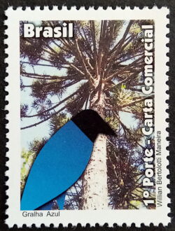 C 3155 Selo Despersonalizado Gralha Azul Araucaria Ave 2011