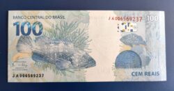 Cédula Flor de Estampa R$ 100,00 Segunda Família JA.006.569.237 Guardia e Goldfajn