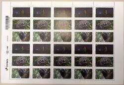 C 3847 Selo Riquezas da Fauna Brasileira Macaco Cupim Bicho Preguiça 2019 Folha