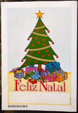 Cod 051B AEROGRAMA NATAL Pinheiro 2004