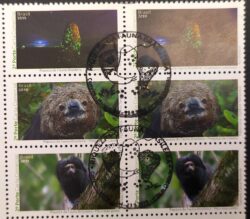 C 3847 Selo Riquezas da Fauna Brasileira Macaco 2019 CBC AM