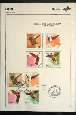 Edital 1981 08 Fauna Beija Flor Com Selo CPD SP