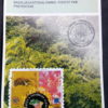 Edital 1999 13 Incêndios Florestais Parques Sem Selo