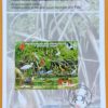 Edital 2004 10 Preservação dos Manguezais e Zonas de Maré Fauna Sem Selo