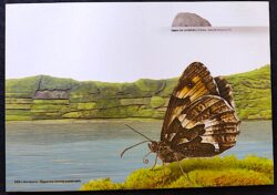 Cartão Postal 047 Portugal 2015 Lagoa do Caldeirão Borboleta