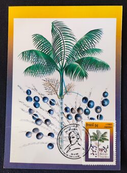 Cartão Postal Oficial dos Correios 1994 Açaí Máximo Postal