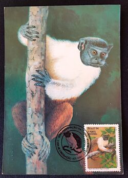 Cartão Postal Oficial dos Correios 1994 Macaco Preservação da Fauna Máximo Postal