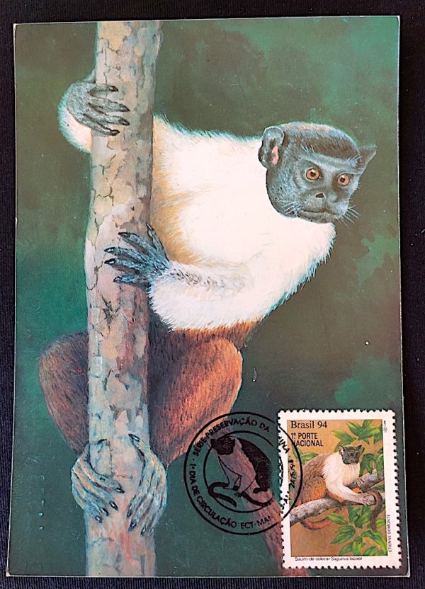 Cartão Postal Oficial dos Correios 1994 Macaco Preservação da Fauna Máximo Postal 1