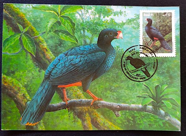 Cartão Postal Oficial dos Correios 1995 Fauna Mutum Ave 1