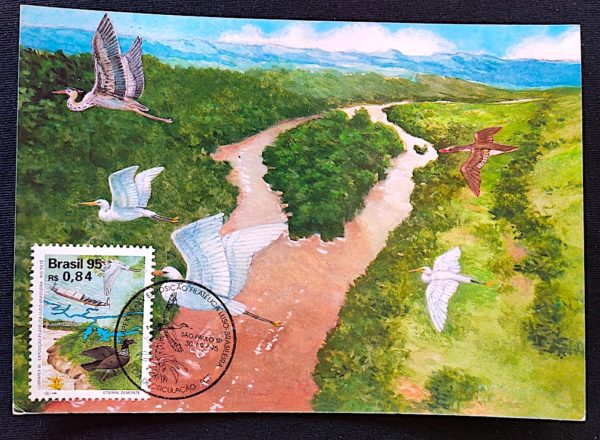 Cartão Postal Oficial dos Correios 1995 Lubrapex Fauna Garças Pantanal Máximo Postal 1