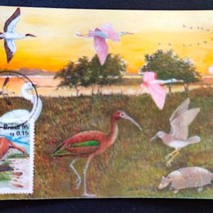 Cartão Postal Oficial dos Correios 1995 Lubrapex Fauna Pantanal Máximo Postal