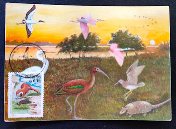 Cartão Postal Oficial dos Correios 1995 Lubrapex Fauna Pantanal Máximo Postal 1