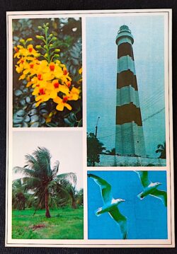 Cartão Postal Oficial dos Correios 2000 Farol de Olinda PE