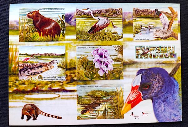 Cartão Postal Oficial dos Correios 2001 Pantanal Fauna e Flora 1