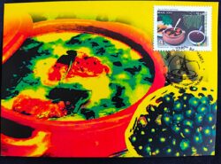 Cartão Postal Oficial dos Correios 2005 Ano do Brasil na França Culinária Máximo Postal