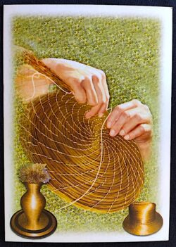 Cartão Postal Oficial dos Correios 2014 Capim Dourado Tocantins