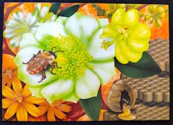 Cartao Postal Oficial dos Correios 2015 Abelhas Meliponas Mel