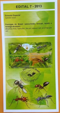 Edital 2013 07 Formigas Inseto Sem Selo