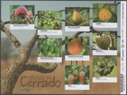 B 196 Bloco Frutas do Cerrado 2016