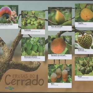 B 196 Bloco Frutas do Cerrado 2016