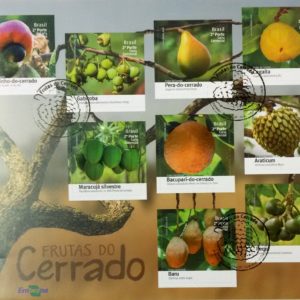 B 196 Bloco Frutas do Cerrado 2016 CBC DF Brasília
