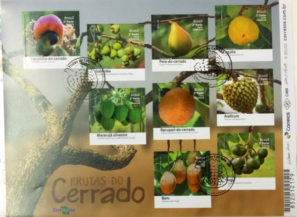 B 196 Bloco Frutas do Cerrado 2016 CBC DF Brasília