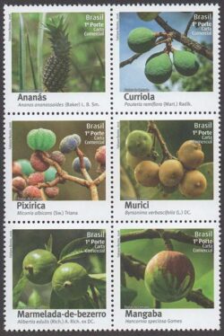 C 3635 Selo Frutas do Cerrado Gastronomia 2016