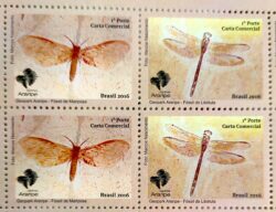 C 3687 Selo GeoPark Araripe Libélula Inseto 2016 Quadra