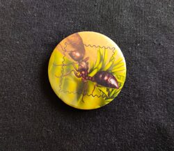 Pin Broche Selo Formiga Filatelia Correios 2013