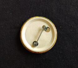 Pin Broche Selo Formiga Filatelia Correios 2013