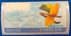 Selo Etiqueta Autômato Ararajuba Letra em Negrito Sem Franquia