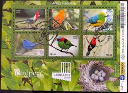 B 153 Bloco Aves Exeburantes 2009 Fauna Pássaro CBC SP