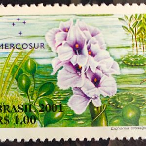 C 2439 Selo Flora do Mercosul Aguape Flor 2001