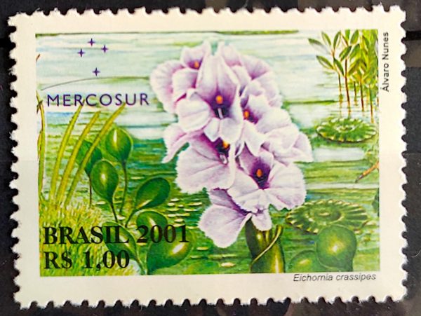C 2439 Selo Flora do Mercosul Aguapé Flor 2001