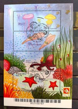 B 162 Bloco Fauna Marinha 2011 CBC PE Recife