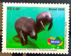 C 2763 Selo Animais Amazônicos Peixe Boi 2008