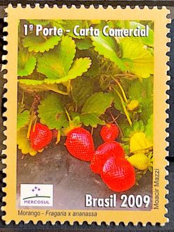 C 2830 Selo Circuito das Frutas Morango 2009