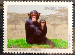 C 2716 Selo Zoologicos do Brasil Macaco Fauna Africa 2007