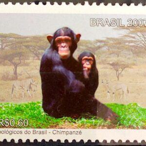 C 2716 Selo Zoologicos do Brasil Macaco Fauna Africa 2007